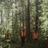 Group of workers in orange safety vests walking through a lush forest.