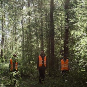 Group of workers in orange safety vests walking through a lush forest.
