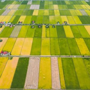 Aerial view of colorful farmland with patchwork fields and scattered houses, showcasing agricultural diversity.