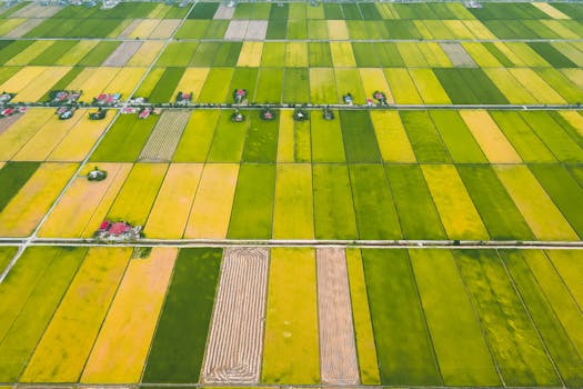 Aerial view of colorful farmland with patchwork fields and scattered houses, showcasing agricultural diversity.