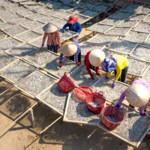 Women workers drying fish using traditional methods in a rural area.