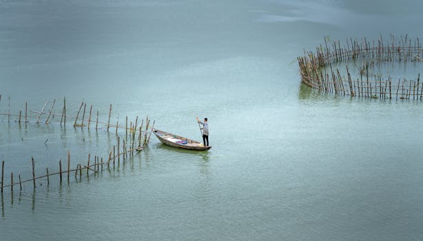 A fisherman paddles a rowboat near circular bamboo fish traps in a serene lake, pictured from above.