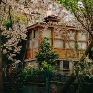 A cozy wooden house surrounded by cherry blossoms in an urban setting.