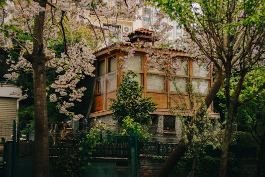 A cozy wooden house surrounded by cherry blossoms in an urban setting.