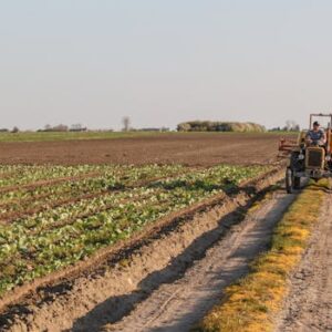 A tractor operates on a rural farm, plowing fields and maintaining crops under a clear sky.