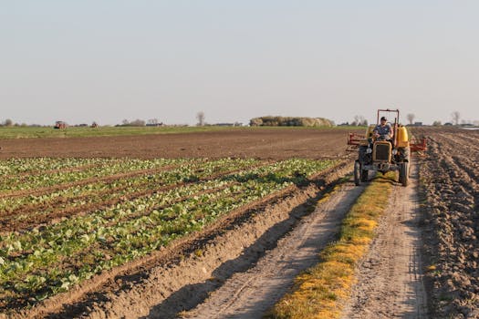 A tractor operates on a rural farm, plowing fields and maintaining crops under a clear sky.