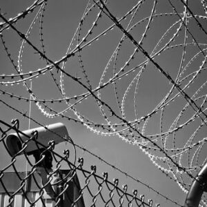 A black and white image featuring barbed wire and a security camera, symbolizing protection and surveillance.