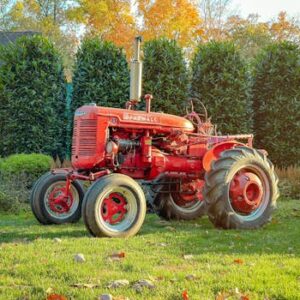 A classic red Farmall tractor sits amidst lush greenery and autumn leaves, showcasing vintage charm.