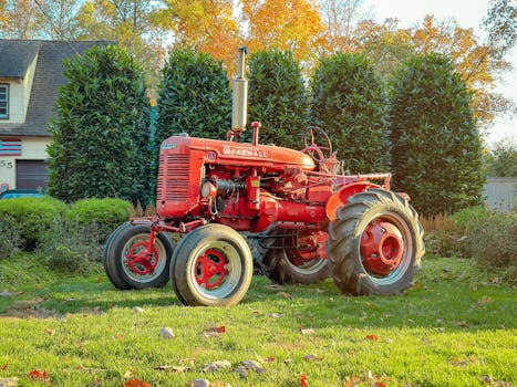 A classic red Farmall tractor sits amidst lush greenery and autumn leaves, showcasing vintage charm.