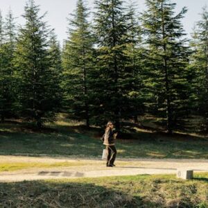 A woman enjoying an outdoor walk on a serene tree-lined path in the forest.