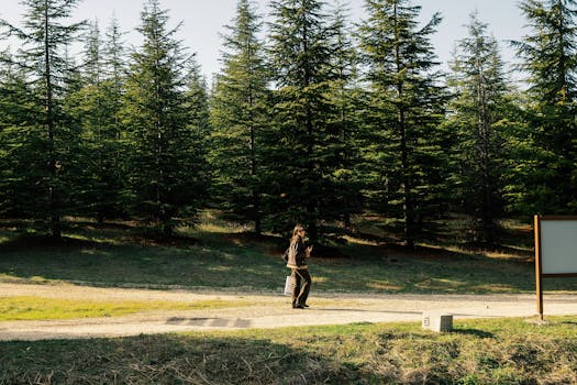 A woman enjoying an outdoor walk on a serene tree-lined path in the forest.