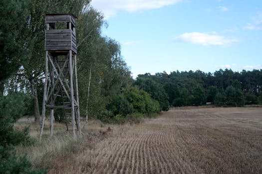 Scenic view of a wooden hunting tower in a rural field in Poland.