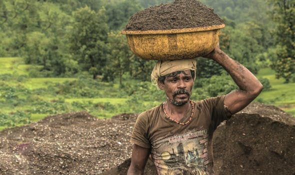 A determined rural man carries a basin of soil on his head through lush countryside.