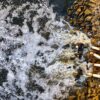 Aerial view of polluted water flowing through pipes into a Jakarta river, causing environmental concerns.