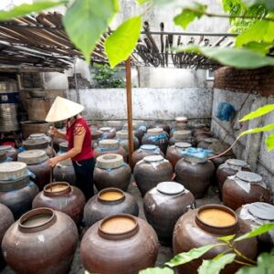 A person in a conical hat working in a traditional fermentation room with many jars.