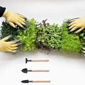 Hands wearing gloves arranging fresh microgreens with gardening tools on white background.