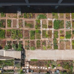 Aerial shot of a structured urban community garden with diverse plant growth.