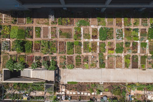 Aerial shot of a structured urban community garden with diverse plant growth.