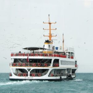A white ferry transports passengers across the blue sea surrounded by seagulls under a light sky.