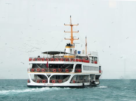 A white ferry transports passengers across the blue sea surrounded by seagulls under a light sky.