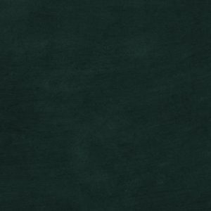 مهارات التخطيط والمتابعة والتقويم والابتكار في العمل