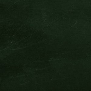 إدارة وتسويق الضيافة والسياحة