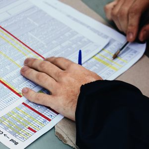 Hands with pen analyzing spreadsheets at a desk, focusing on data and statistics.