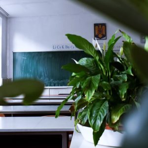 تنمية المهارات السلوكية والإدارية للسكرتارية الإبداعية