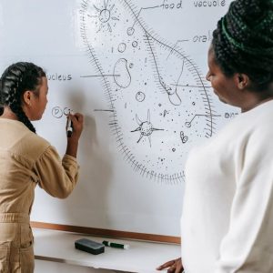 مهارات تقوية الذاكرة وتنمية الذات والذكاء العاطفي والوجداني