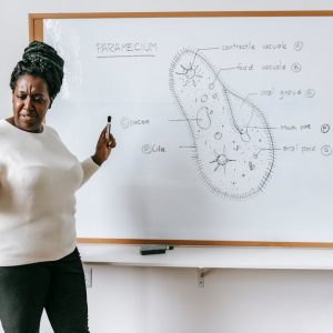 إدارة البيانات وتحليل المعلومات