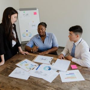 إعداد الهياكل التنظيمية الوظيفية وتحليل وتوصيف الوظائف وتقييم الأداء