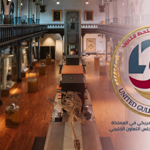 مهارات العرض المتحفي للآثار والمقتنيات